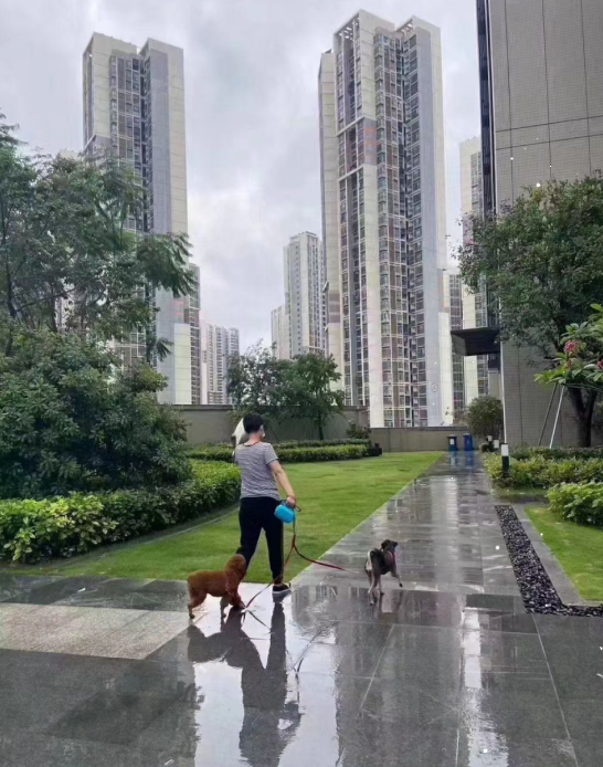 觀瀾新城締造世界級國際產(chǎn)業(yè)均價(jià)26500元/平